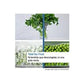 Réfrigérateur Combiné Bosch KGN392WCF – 363 L – Total No Frost – 203 cm – Classe C – Blanc